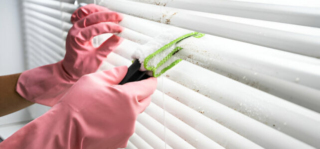 Expert Tips to Keep Your Blinds Looking Like New